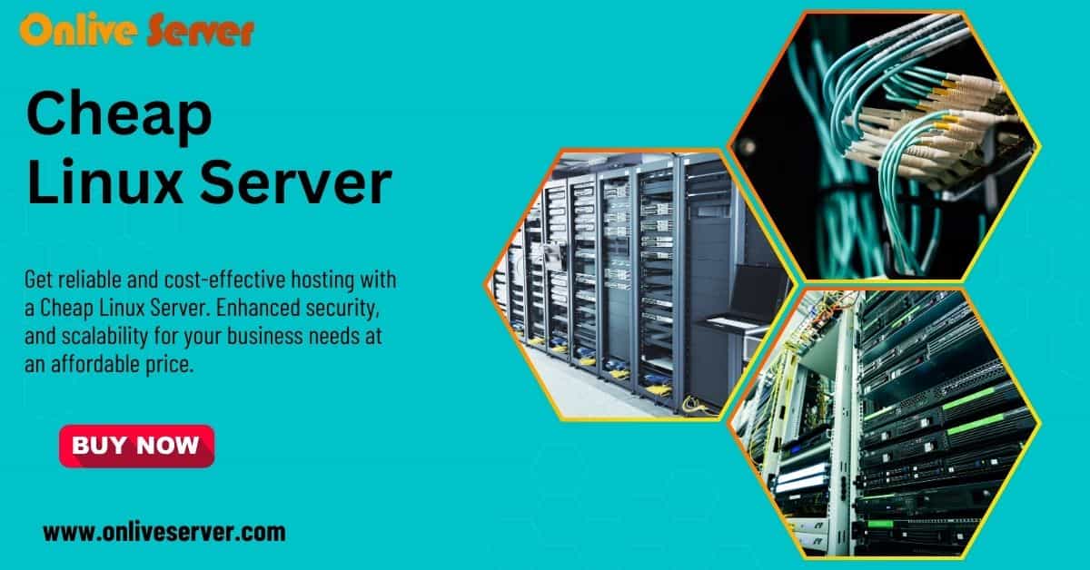 Cheap Linux Servers: Robust Hosting for Businesses on a Budget